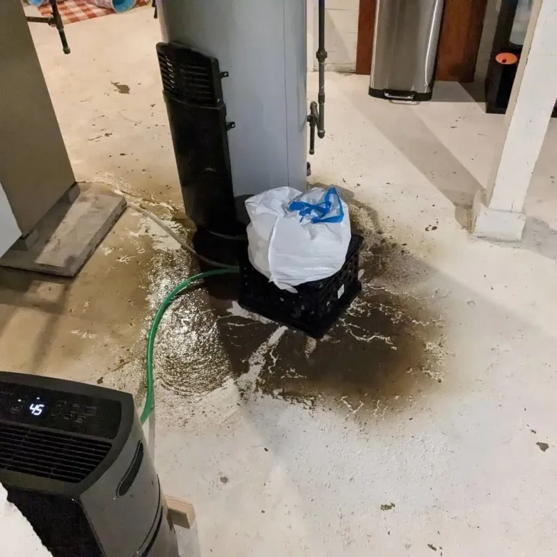 Sewage Backup Cleanup Service in Pike County, AL